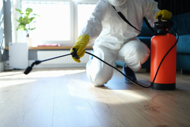 Reliable Blood Cleanup contractor in Springville, CA by Trauma Clean Pros